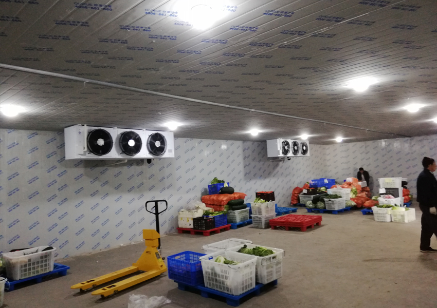 物流冷庫(kù)建造